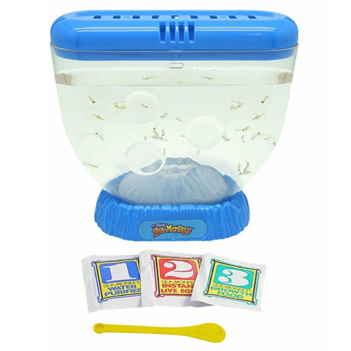 AU 111821 Sea Monkeys 500x500